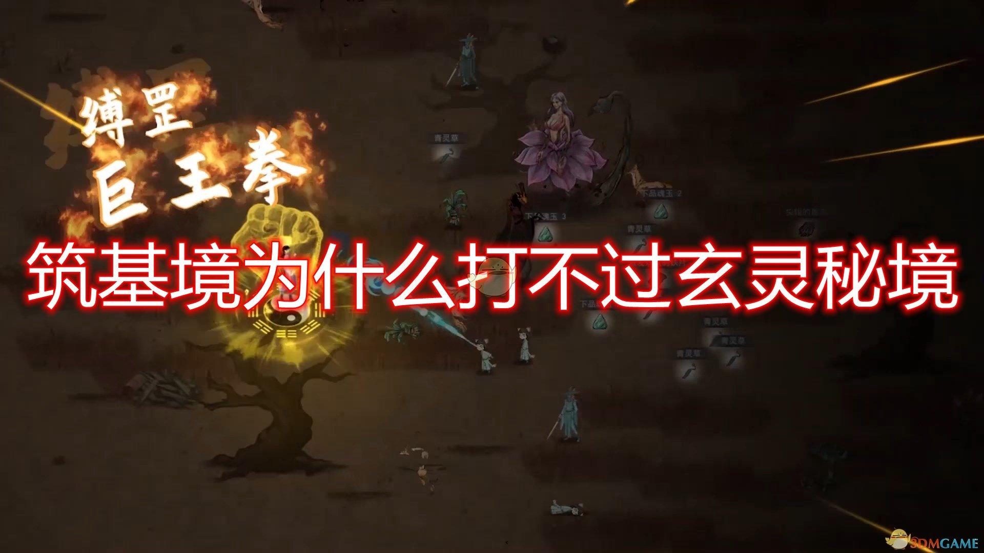 苏菲亚安伯时装秀